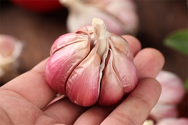 宝坻大蒜(图2) 宝坻大蒜(图2)
