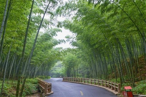 南京傅家边农业生态园 - 辰飞雨和风乐游农庄