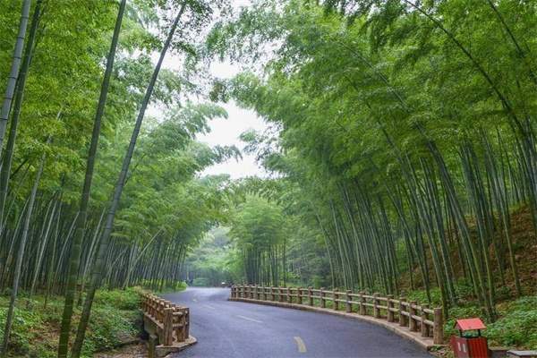 南京傅家边农业生态园(图3)