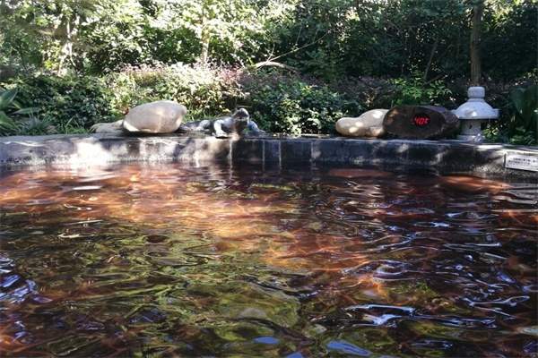 汤山温泉（紫清湖）(图2)