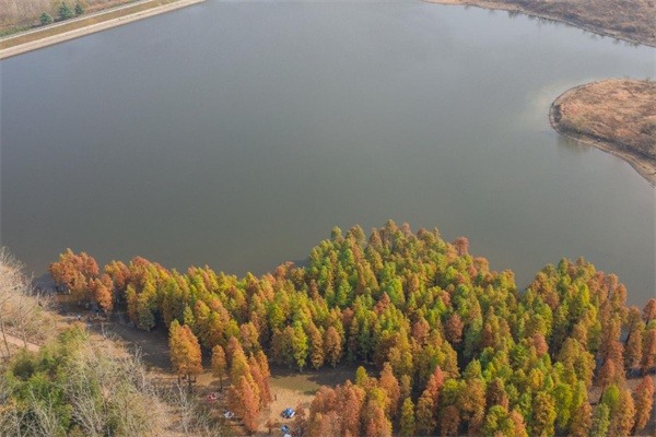 止马岭森林公园(图1)