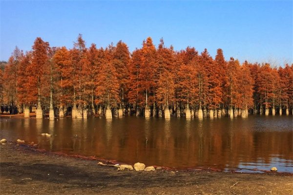 止马岭森林公园(图2)