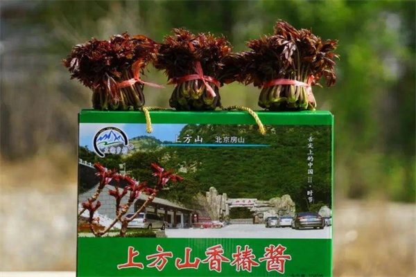 上方山香椿(图2)