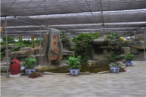 台湾创意农业旅游区(图3)