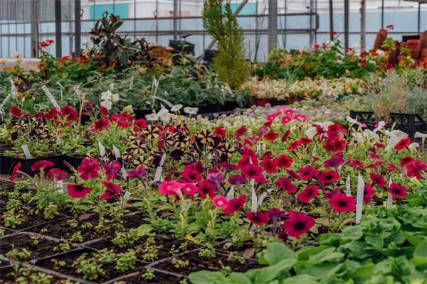 台湾创意农业旅游区(图2)