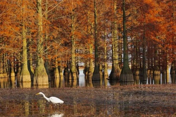 止马岭森林公园(图3)