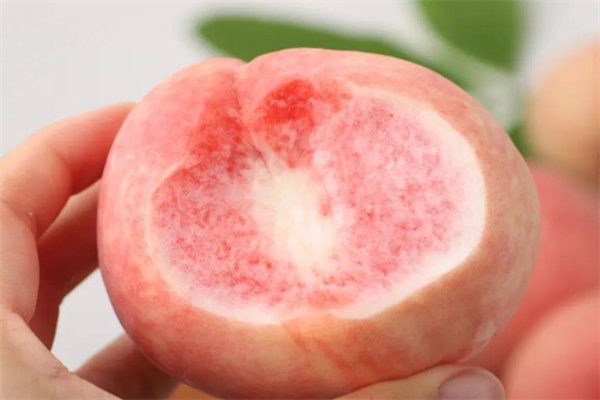 荣成蜜桃(图2) 荣成蜜桃(图2)