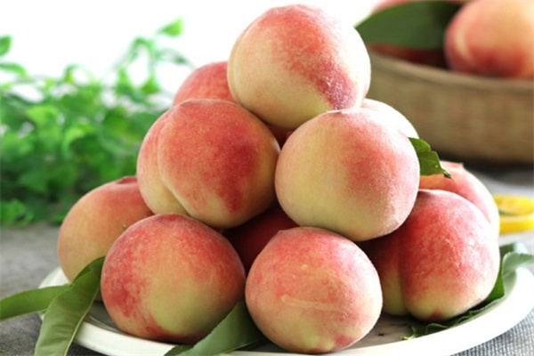 荣成蜜桃(图1) 荣成蜜桃(图1)