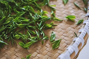 华顶雾茶 - 和风乐游农庄
