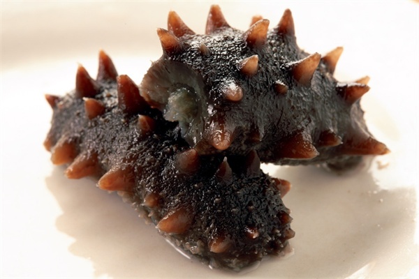 西霞口刺参(图2) 西霞口刺参(图2)