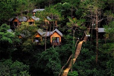 归来三华李精品民宿 - 和风乐游农庄