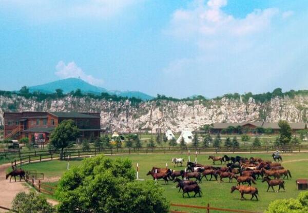 牛仔乡村俱乐部(图1)