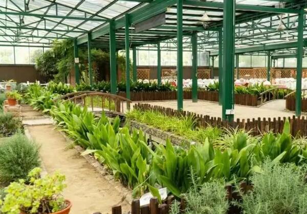 绿光休闲农场(图5)