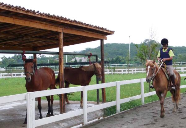 绿光休闲农场(图2)