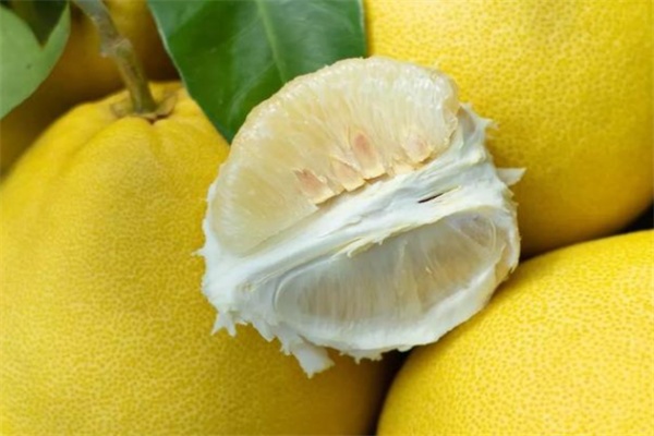 碧莲早香柚(图3)