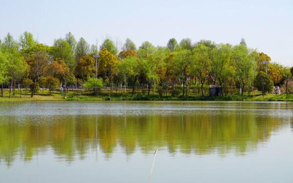 高家庄生态园(图2)