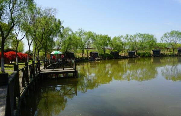 高家庄生态园(图4)