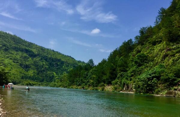 淡竹原始森林(图1)