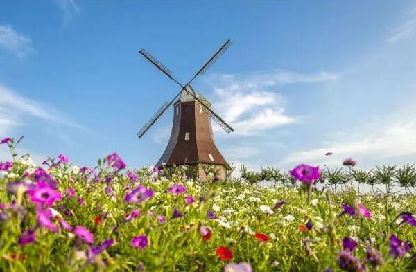 紫海鹭缘浪漫爱情主题公园(图1)