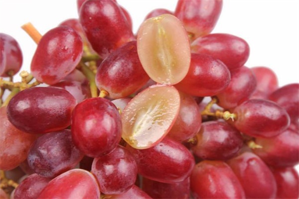 余姚葡萄(图3) 余姚葡萄(图3)