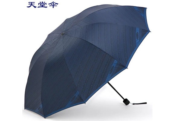 杭州天堂伞(图1) 杭州天堂伞(图1)