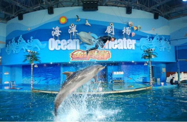 苏州海洋馆(图3)