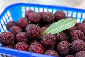 大浮杨梅 - 和风乐游农庄