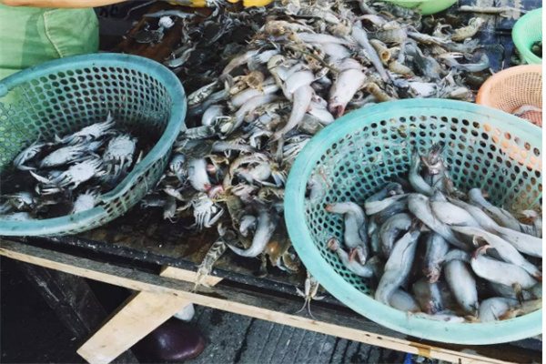 石浦渔港古城(图3)