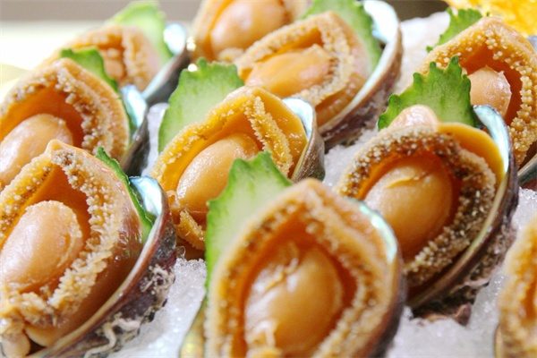 大连鲍鱼(图3) 大连鲍鱼(图3)