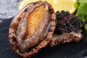 大连鲍鱼 - 和风乐游农庄