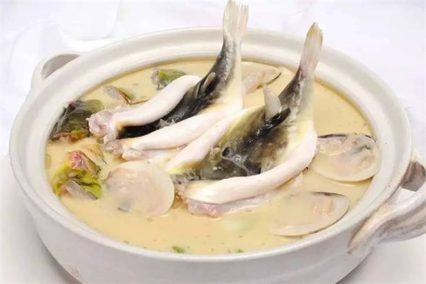 江阴河豚(图2) 江阴河豚(图2)