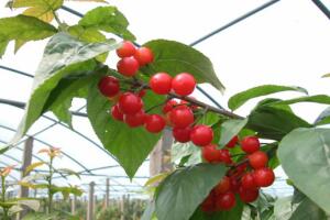 枫桥大干溪 - 和风乐游农庄