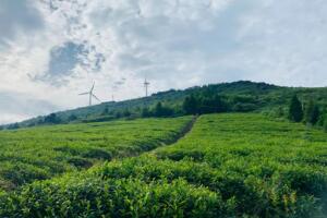 东白山 - 和风乐游农庄