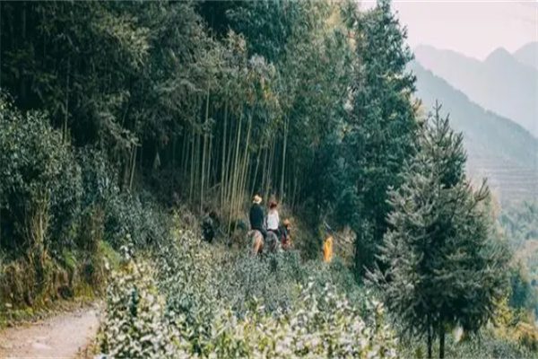 马剑秦皇古道(图3)