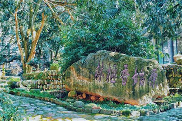 香榧森林公园(图4)