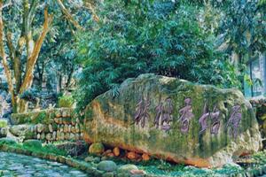 香榧森林公园 - 和风乐游农庄