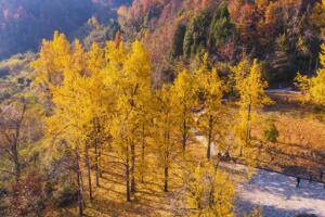 灵山坞 - 和风乐游农庄