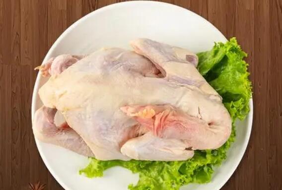 赤峰绿鸟鸡(图2)