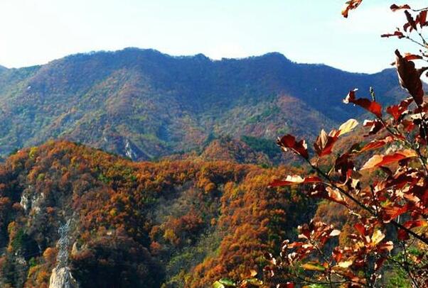 六里坪国家森林公园(图3)