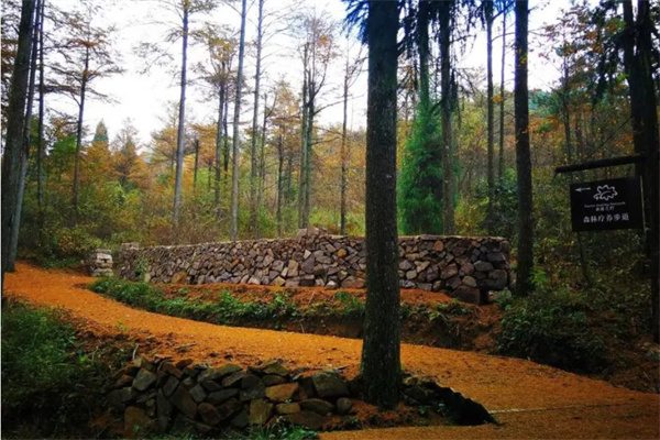 浙江遂昌国家森林公园(图1)