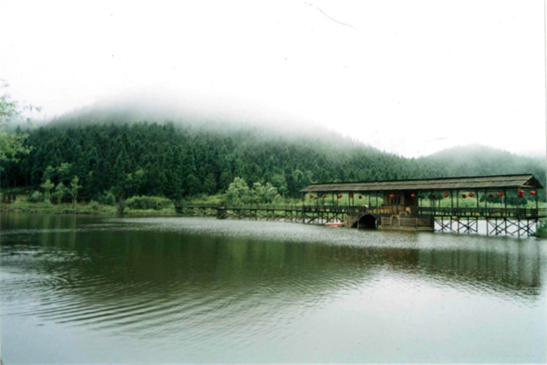 浙江遂昌国家森林公园(图2)