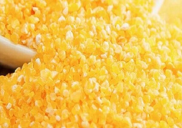 赤峰黄玉米(图1)