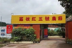 荔枝红佳园客栈 - 和风乐游农庄