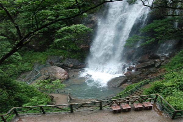 浙江遂昌国家森林公园(图3)