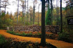 浙江遂昌国家森林公园 - 和风乐游农庄