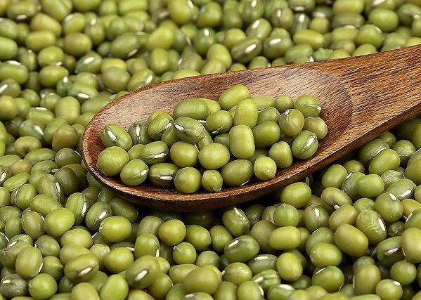 赤峰绿豆(图1) 赤峰绿豆(图1)