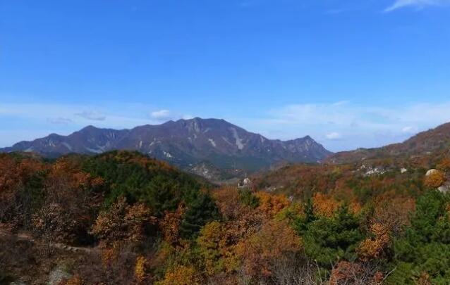 六里坪国家森林公园(图1)