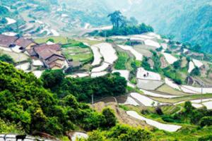 高坪新村 - 和风乐游农庄