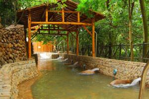 汤沐园温泉 - 和风乐游农庄