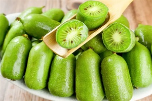 本溪软枣猕猴桃 - 和风乐游农庄